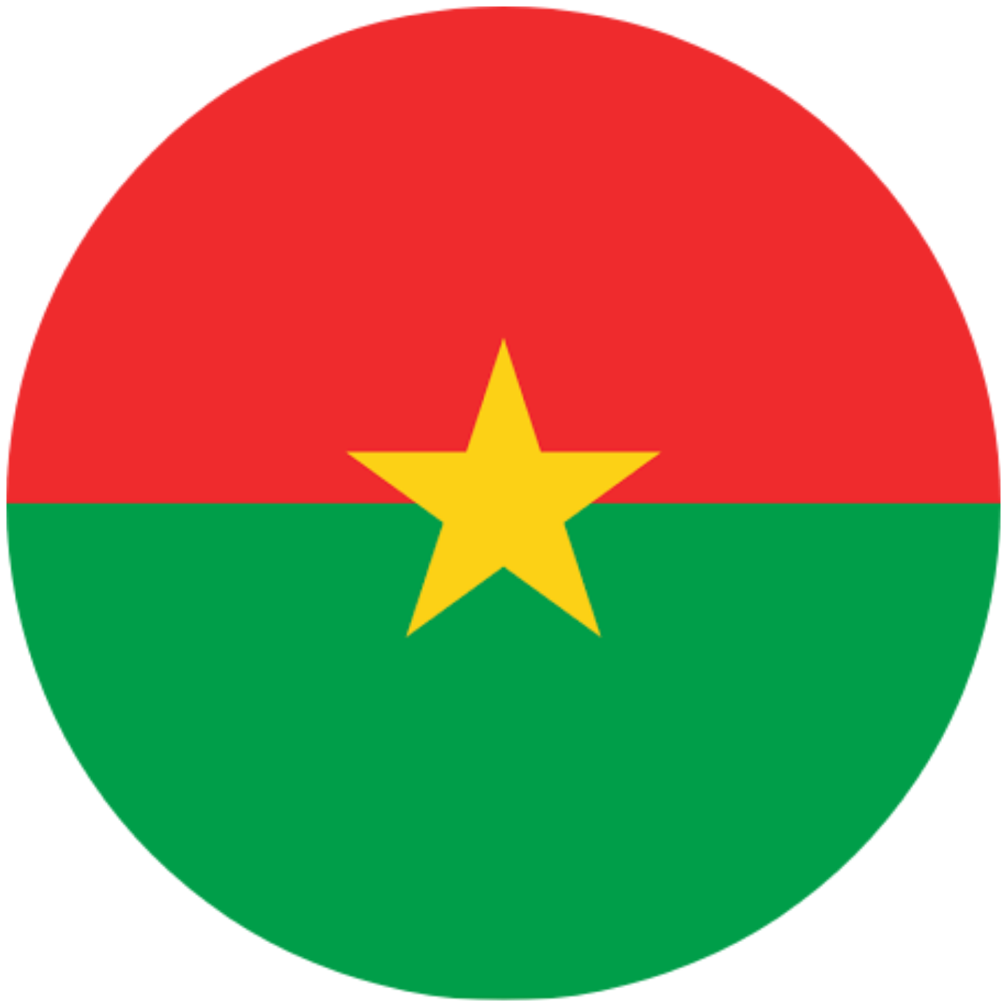SINOKIS